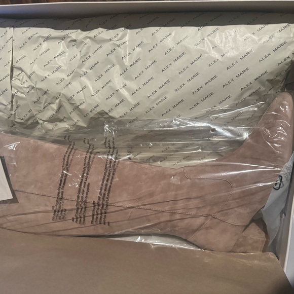 Alex Marie Prizelle Piazza Taupe Tall Suede Boots (Dept 0665 Mic 805 Size 8.5) - Picture 4 of 5